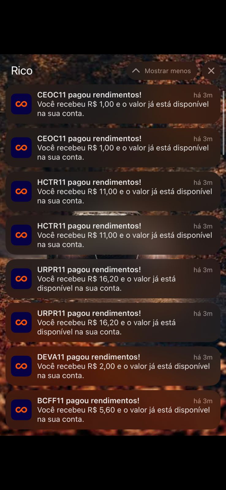 WhatsApp Image 2025-04-11 at 22.33.01 (1)